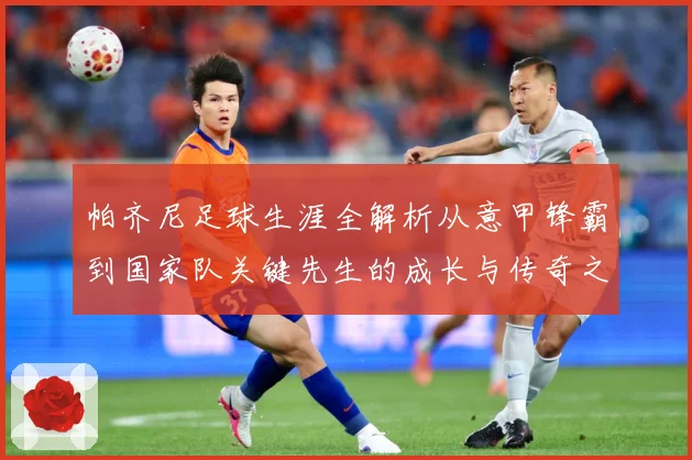 帕齐尼足球生涯全解析从意甲锋霸到国家队关键先生的成长与传奇之路-深度解析