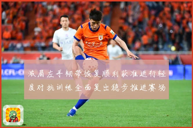 浓眉左手韧带恢复顺利获准进行轻度对抗训练全面复出稳步推进赛场复盘-深度解析